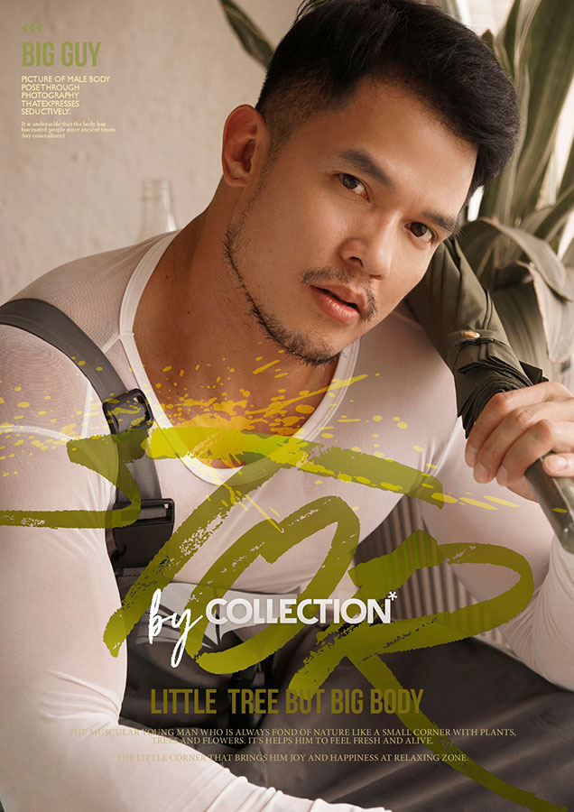 Tor By Collection (1)