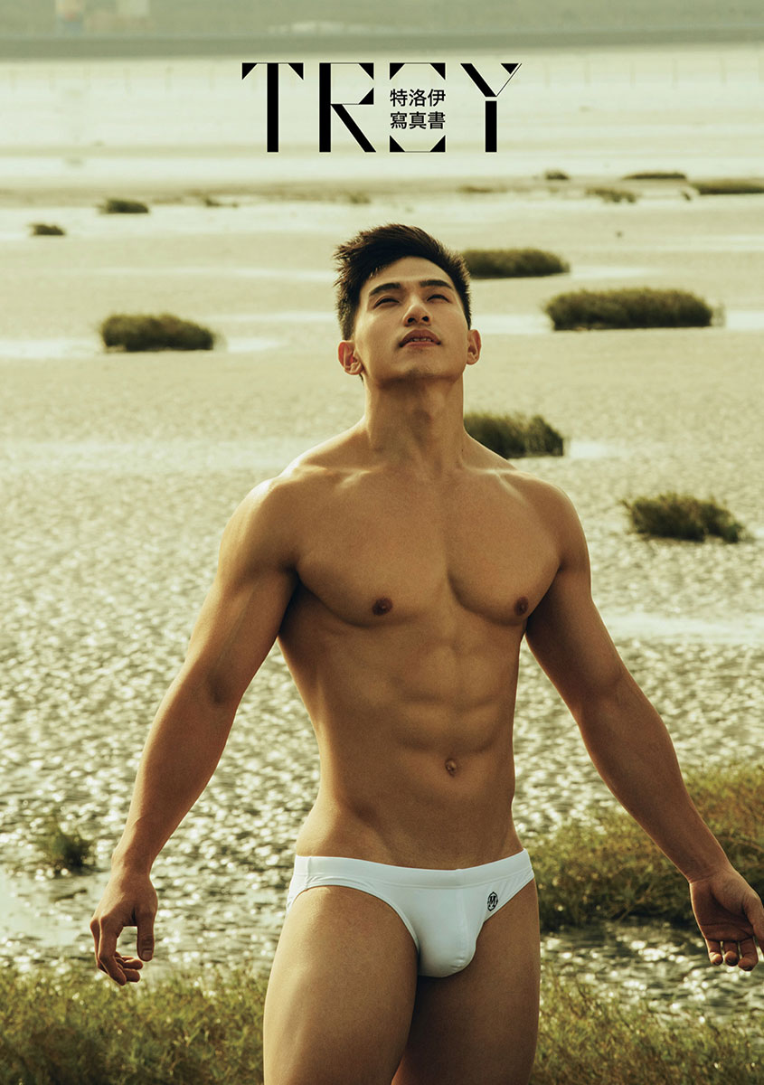 Troy (2)