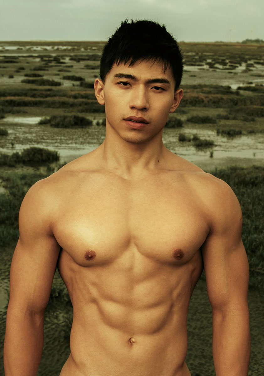 Troy (4)